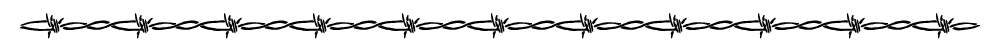 2025-FairWell-Zendesk-divider.png